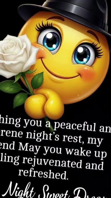 Good Night Wishes Videos