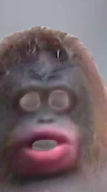 Preview for a Spotlight video that uses the UH OH Lens