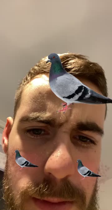 Preview for a Spotlight video that uses the Pigeon Lens