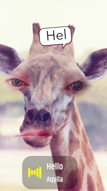 Preview for a Spotlight video that uses the Funny Giraffe Lens