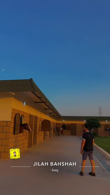Preview for a Spotlight video that uses the WILD HDR Lens