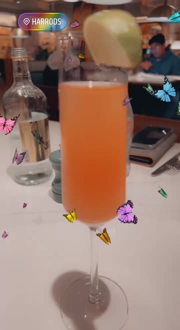 Preview for a Spotlight video that uses the Butterfly Look Lens