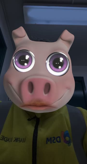 Preview for a Spotlight video that uses the CUTEST-PORKER Lens