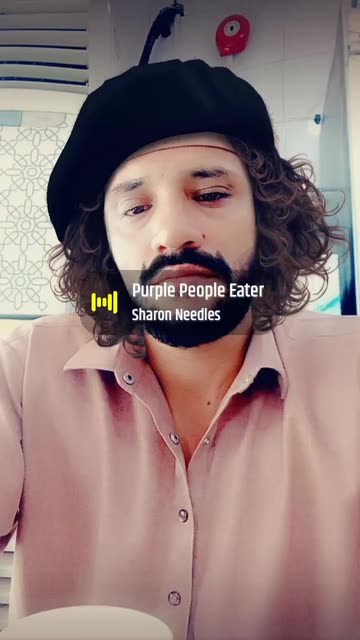 Preview for a Spotlight video that uses the Beret Look Lens