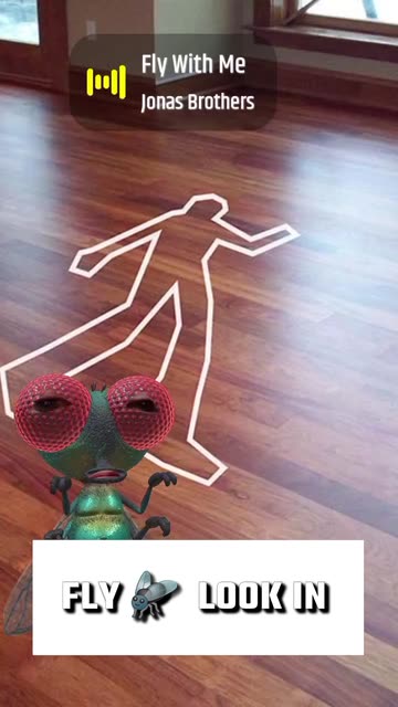 Preview for a Spotlight video that uses the The Fly Lens