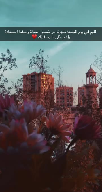 Preview for a Spotlight video that uses the GARDEN Lens