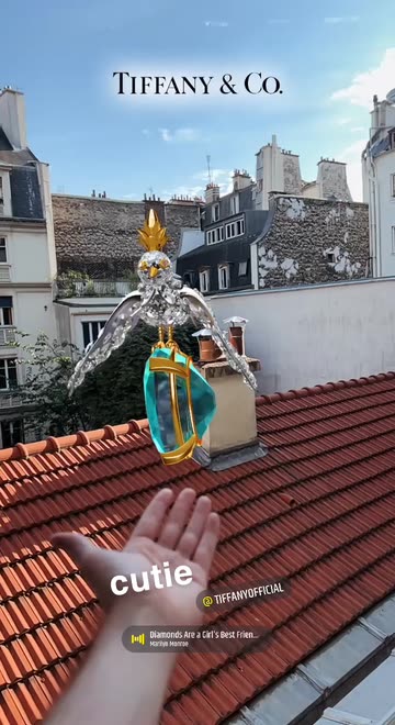 Preview for a Spotlight video that uses the Bird on a Rock Lens