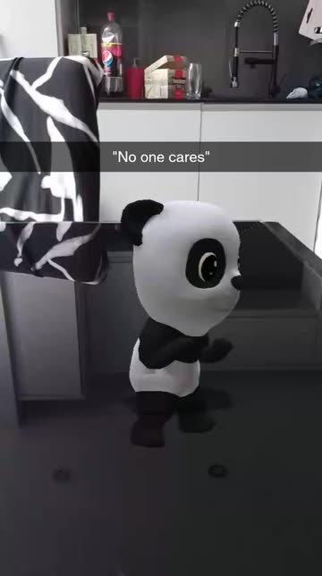 Preview for a Spotlight video that uses the Twerking Panda Lens