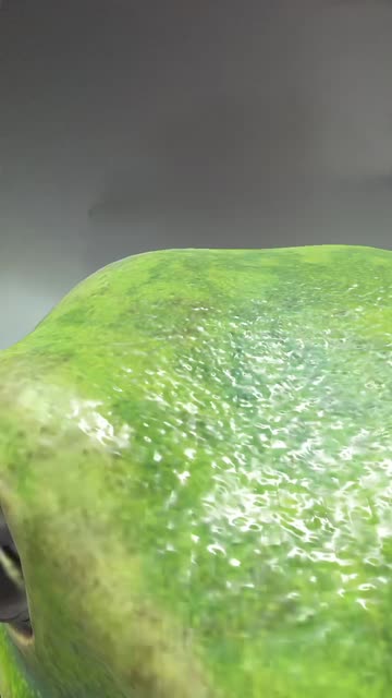 Preview for a Spotlight video that uses the Lizard Morph Lens