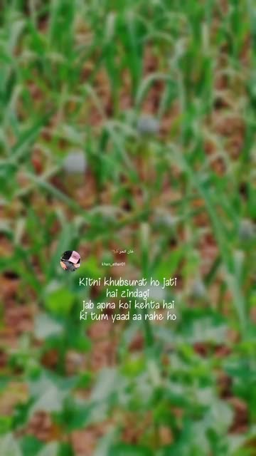 Preview for a Spotlight video that uses the Shayari Pro Lens