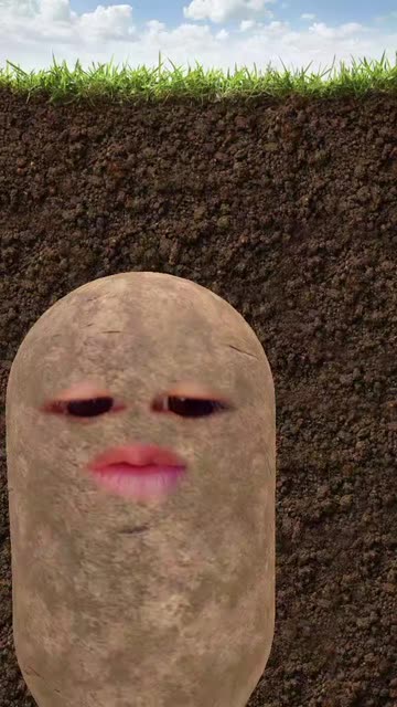 Preview for a Spotlight video that uses the Potato Lens