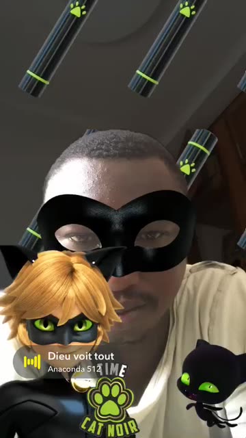 Preview for a Spotlight video that uses the Chat Noir Plagg Lens