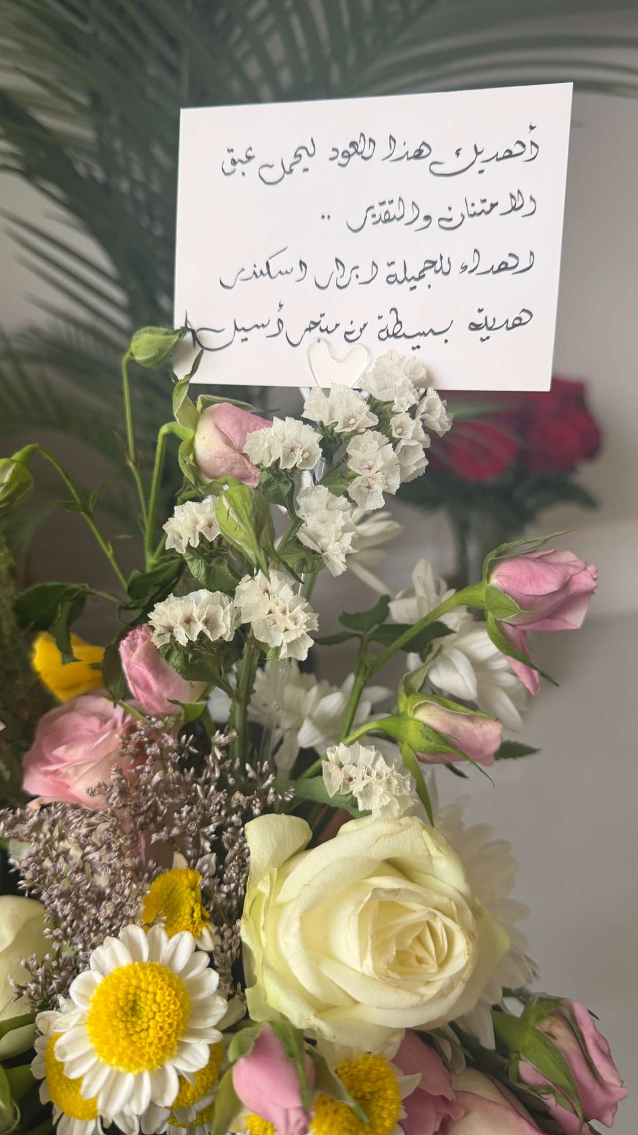 محتوى سناب شات لـ Abrar.cadabra
