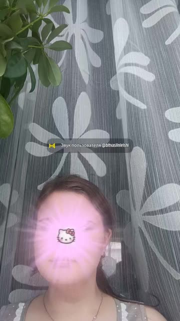 Preview for a Spotlight video that uses the kitty self Lens
