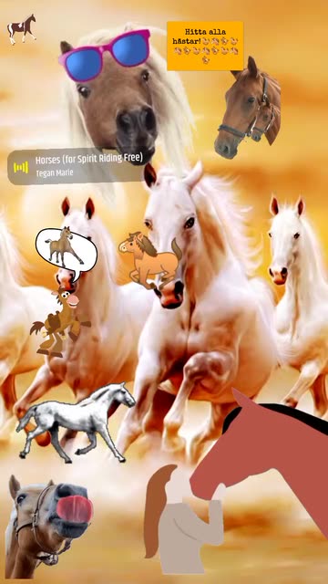 Preview for a Spotlight video that uses the Horses Lens