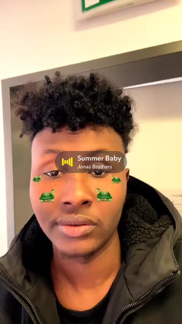 Preview for a Spotlight video that uses the baby turtle Lens