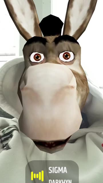 Preview for a Spotlight video that uses the Donkey Lens