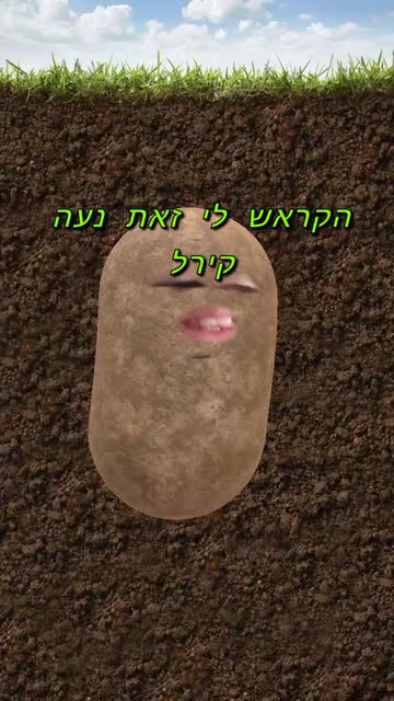 Preview for a Spotlight video that uses the Potato Lens