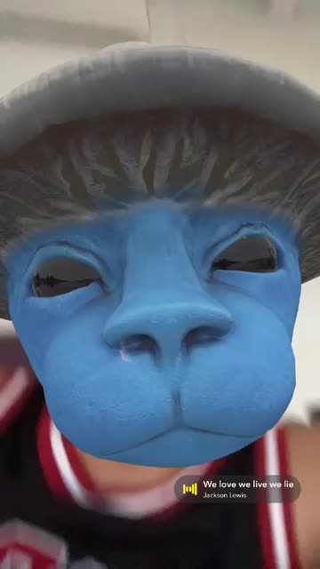 Preview for a Spotlight video that uses the Shaylushay Lens