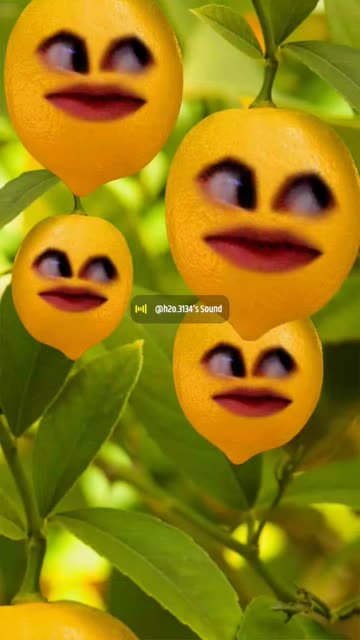 Preview for a Spotlight video that uses the Lemon Faces Lens