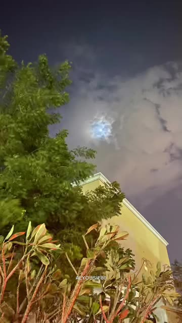 Preview for a Spotlight video that uses the jnoony-Cameraroll Lens