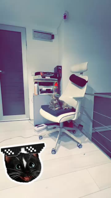 Preview for a Spotlight video that uses the Balaclava Lens