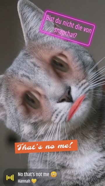 Preview for a Spotlight video that uses the Ciluk Ba Meow Lens