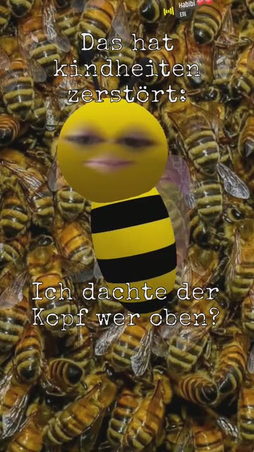 Preview for a Spotlight video that uses the cute bee Lens