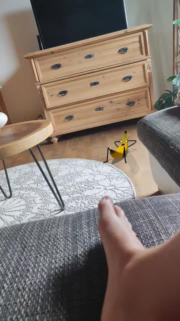 Preview for a Spotlight video that uses the Banana Sit-Ups Lens