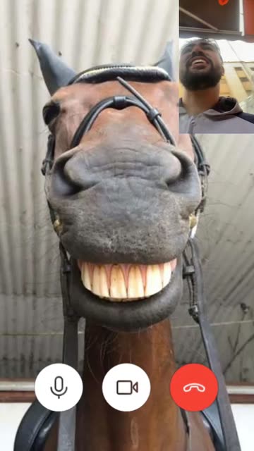 Preview for a Spotlight video that uses the Horse Video Call Lens