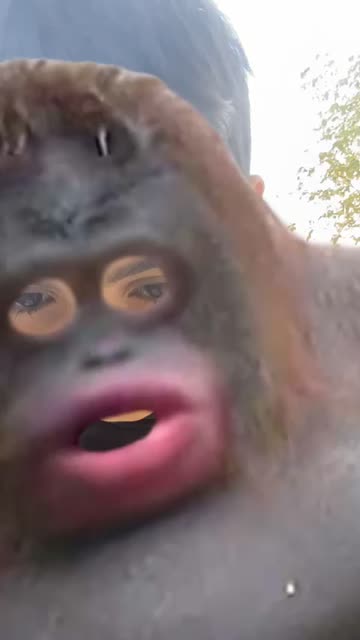 Preview for a Spotlight video that uses the UH OH Lens
