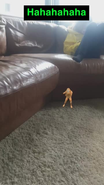 Preview for a Spotlight video that uses the Silly Dancing Toby Lens