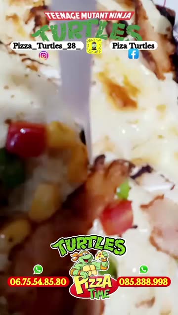 Preview for a Spotlight video that uses the turtles Lens