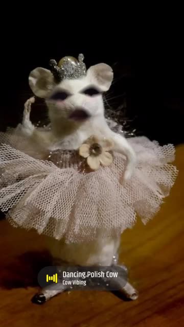 Preview for a Spotlight video that uses the Ballet Mouse Lens