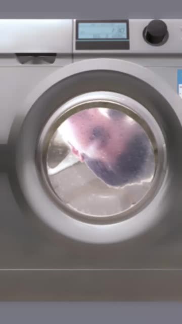 Preview for a Spotlight video that uses the Washing Machine Lens