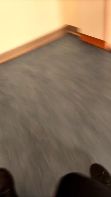 Preview for a Spotlight video that uses the baby turtle Lens