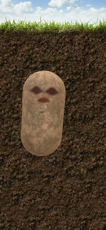 Preview for a Spotlight video that uses the Potato Lens