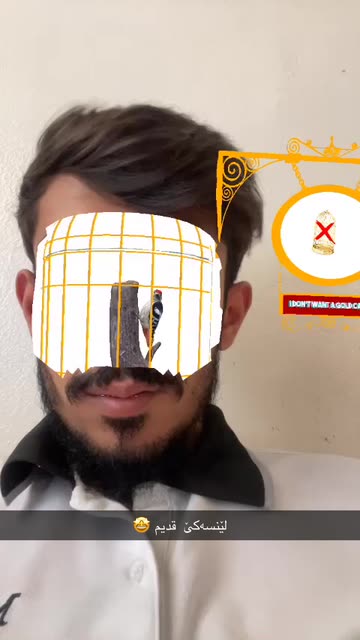 Preview for a Spotlight video that uses the I want freedom Lens