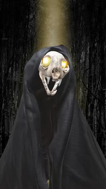 Preview for a Spotlight video that uses the Bone Wraith Lens