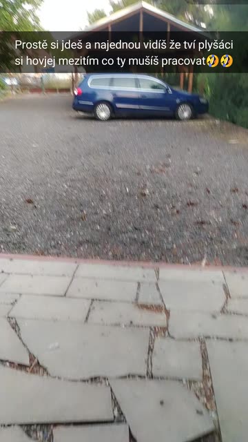 Preview for a Spotlight video that uses the Bumble Bee Lens