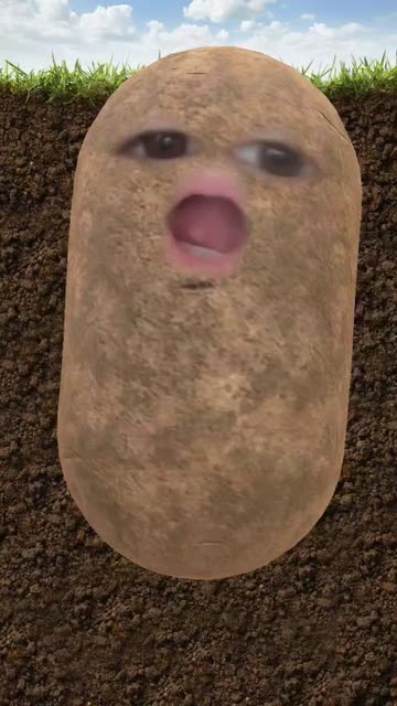 potato snap camera