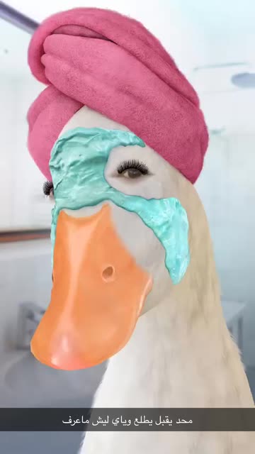 Preview for a Spotlight video that uses the Relaxed Duck Lens