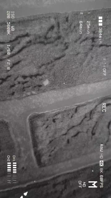 Preview for a Spotlight video that uses the VHS Camera Gray Lens