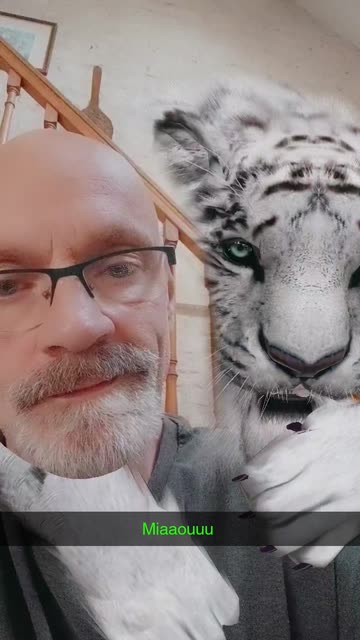 Preview for a Spotlight video that uses the White Tiger Lens