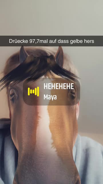 Preview for a Spotlight video that uses the Horse Head Lens