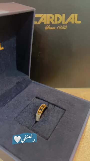 Preview for a Spotlight video that uses the OLLAA Lens