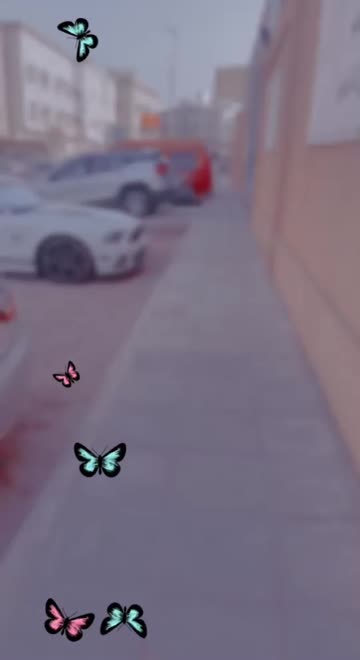 Preview for a Spotlight video that uses the 2000 Lens