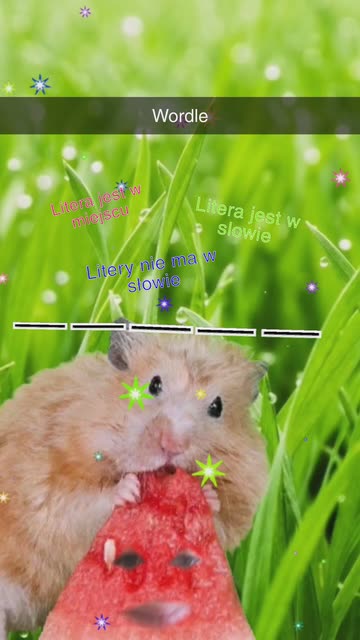 Preview for a Spotlight video that uses the watermelon sugar Lens