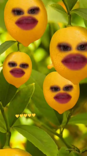 Preview for a Spotlight video that uses the Lemon Faces Lens