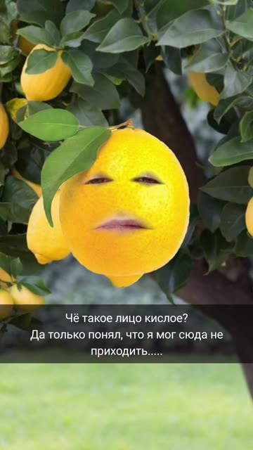 Preview for a Spotlight video that uses the Lemon Lens